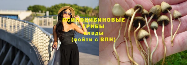 таблы Вяземский