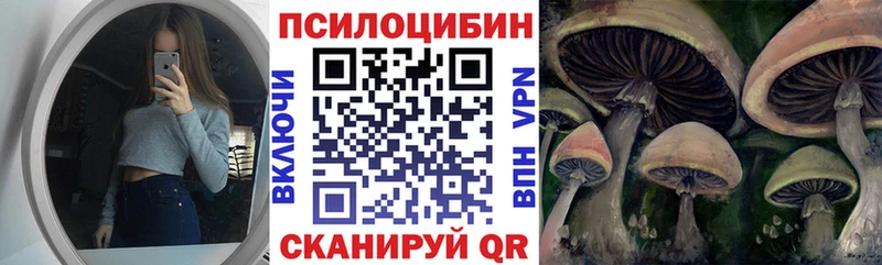 Купить где  Мценск  Псилоцибиновые грибы мухоморы 