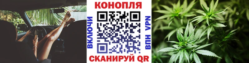 Каннабис MAZAR  Купить где  Мценск 